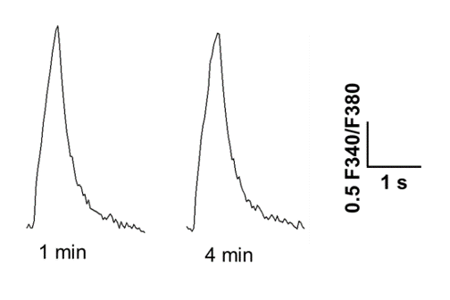 F 127 (20% solution in DMSO) 6253